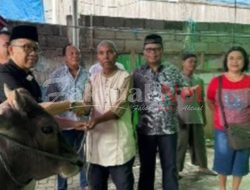 GMIM Betani Sindulang Berbagi Hewan Kurban di Hari Raya Idul Adha 2024