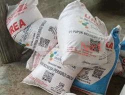 Petani di Desa Parangloe Gowa Keluhkan Harga Pupuk Sangat Mahal