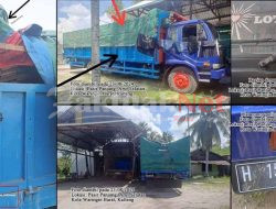 Oknum Jenderal Bintang Tiga Polri dan TNI-AU Diduga Back-up Illegal Logging Kayu Ulin di Kalteng