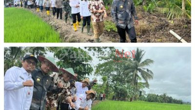 Wakili Pj Gubernur, Sekda Sultra Dampingi Kementerian Pertanian Monitoring PAT dan Pompanisasi di Kolaka Timur
