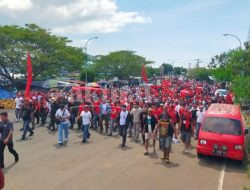 Dibawah Komando Muhammad Sinen, Ribuan Pendukung Banjiri Kampanye HAS MALUT