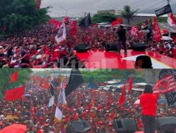 Ketua DPD PDIP Bersama Anggota DPR RI Bakal Gabung Jurus Menangkan HAS MALUT
