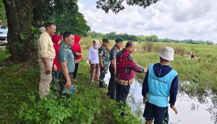 Dandim 1409/Gowa Dampingi Kasatgas Hanpangan, Memantau di Lapangan Kondisi Lahan Pertanian Terdampak Banjir