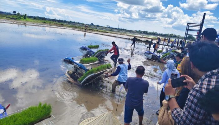 Gubernur Sulsel Hadiri, Gerakan Tanam Padi Serentak 14 Provinsi, Bersama Presiden Prabowo Lewat Video Zoom