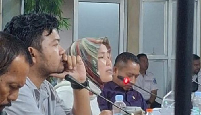 Ketua Fraksi Gerindra Sekaligus Anggota DPRD Bone Andi Purnama Sari, Desak Pemerintah Selesaikan Validasi Data PBI JKN