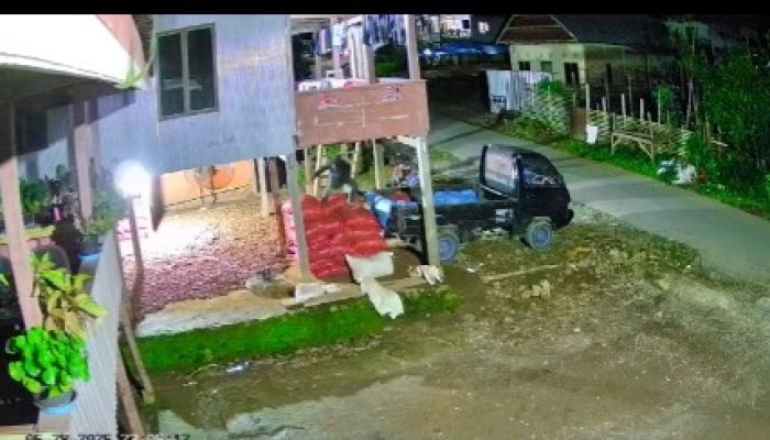 Polsek Kelara Ungkap dan Tangkap, Pelaku Pencurian Bawang Merah Yang Viral di Medsos