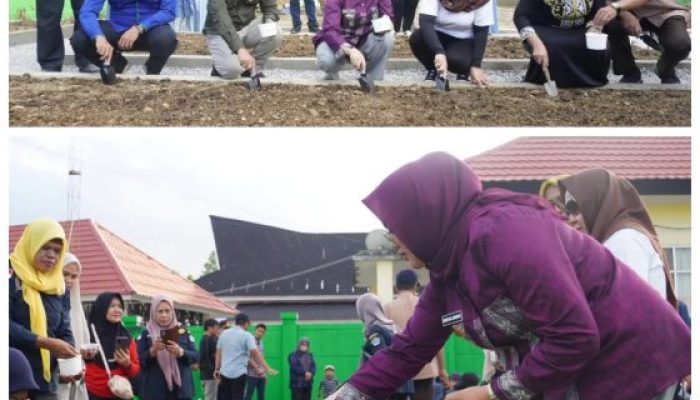 Walikota Kendari Launching Program Kendari Berkebun