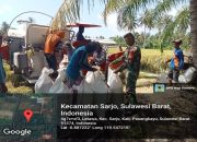 Dukung Program Ketahanan Pangan, Babinsa Kodim 1427/Pasangkayu, Dampingi Petani Panen Padi