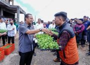 Gubernur Sulsel Bantu Petani 350 Ribu Benih Kentang di Gowa Enrekang Bantaeng, Tingkatkan Produktivitas Pertanian