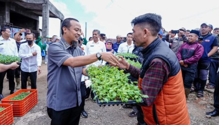 Gubernur Sulsel Bantu Petani 350 Ribu Benih Kentang di Gowa Enrekang Bantaeng, Tingkatkan Produktivitas Pertanian