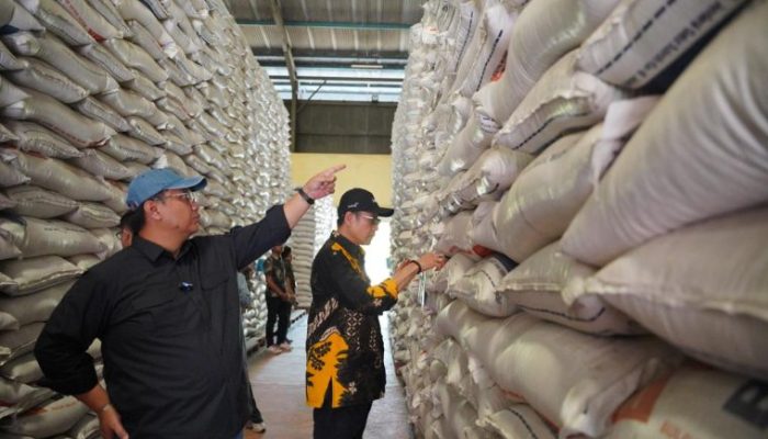 Ombudsman RI Dorong Pemerintah Utamakan Ketersediaan Pangan dan Segera Lepas Stok Beras Bulog