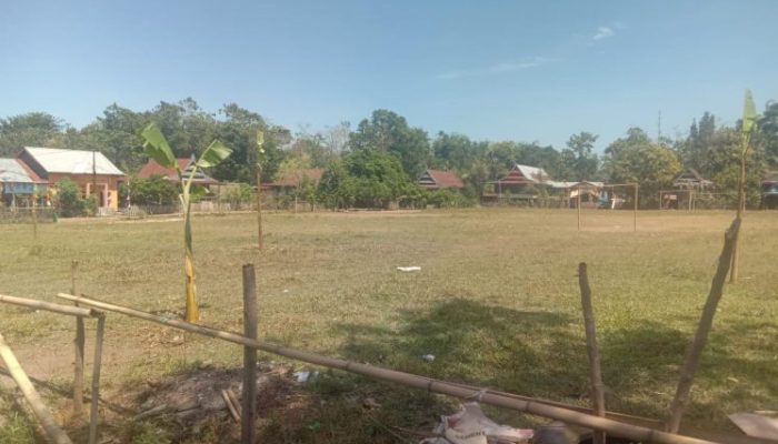 Dini Hari, Warga Batuborong Tanami Lapangan dengan Pohon Pisang, Sindir Sekcam Biringbulu