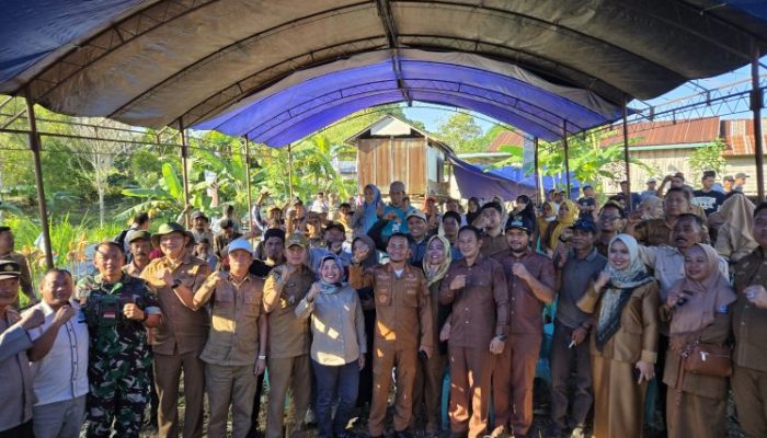 Ketua Fraksi Gerindra Bone Andi Purnamasari, Panen Jagung Hibrida, kawal Program Ketahanan Pangan Beramal