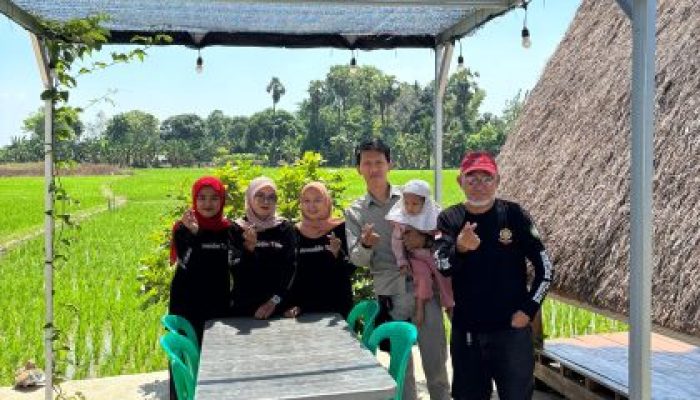 Rumah Makan Bontonompo Tepi Sawah, Nikmati Makanan Enak di Tengah Keindahan Sawah