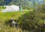 Satgas Ops Damai Cartenz Pukul Mundur KKB Usai KKB Bakar Bangunan Puskesmas di Kiwirok Yang Sudah Tidak Beroperasi