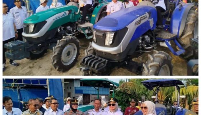 Walikota Kendari Panen Padi di Amohalo Buktikan Ketahanan Pangan Terjaga