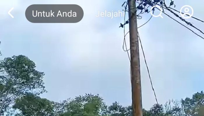 Warga Desa Lassa-Lassa Bontolempangan Tersengat Listrik, PLN Bontolempangan Dinilai Lalai dan Abai