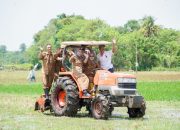 Bupati Barru Andi Ina Kartika Sari, Hadiri Turun Sawah dan Mappalili Musim Tanam 2025/2026 di Desa Cilellang