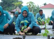 Dukung Ketahanan Pangan, TP PKK Tidore Ikut Gerakan Tanam Cabai Serentak