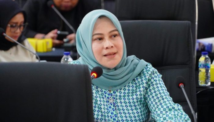 Komisi E Sulsel Minta, Pemprov Segera Lunasi Utang Dana Sharing BPJS Kabupaten/Kota