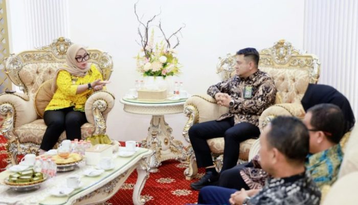 Bupati Barru Terima Audensi Ketua Pengadilan Negeri Barru, Dorong Kolaborasi Pembangunan dan Sekolah Rakyat