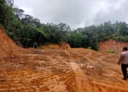 Gunung Bawakaraeng dan Lompobattang Dikepung Mafia Hutan