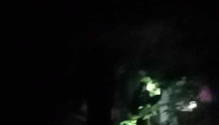 BREAKING NEWS — Lima Warga Diduga Tersesat di Hutan Pinus Maranne, Sapaya, Gowa