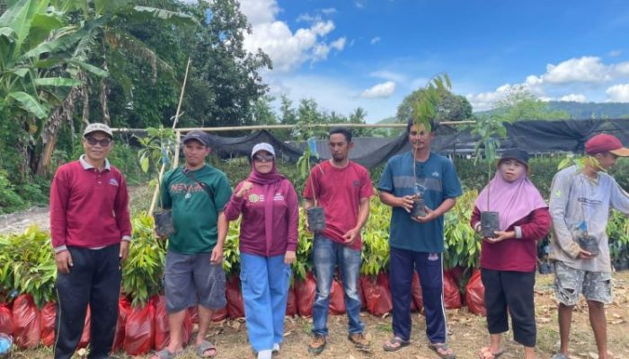 Dinas Lingkungan Hidup dan Kehutanan (DLHK) Provinsi Sulawesi Selatan Serahkan, Bantuan Bibit Multi Purpose Tree Species (MPTS) Kepada Kelompok Penerima di 22 Wilayah Kerja KPH. 