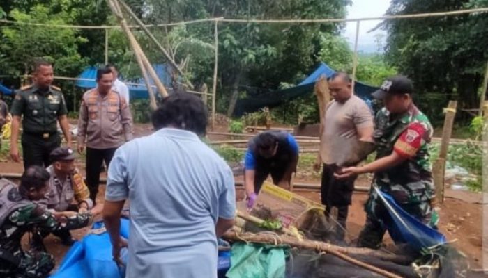 Media Faktual.net Apresiasi APH atas Penertiban Arena Sabung Ayam di Kabupaten Maros