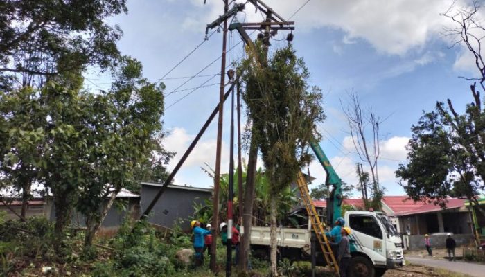 Setelah Dikeluhkan Warga, PLN Ganti Tiang Listrik Miring dengan Tiang Baru di Paranglompoa