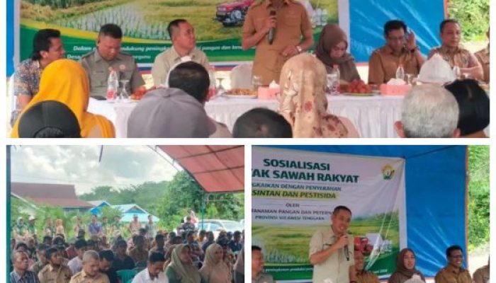Bupati Buton Utara Hadiri Sosialisasi Program Cetak Sawah di Kecamatan Bonegunu