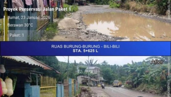 Preservasi Jalan Hertasning dan Burung-burung Tunjukkan Hasil Siginifkan, Gubernur Sulsel Minta Dukungan dan Permohonan Maaf atas Hambatan Lalu Lintas