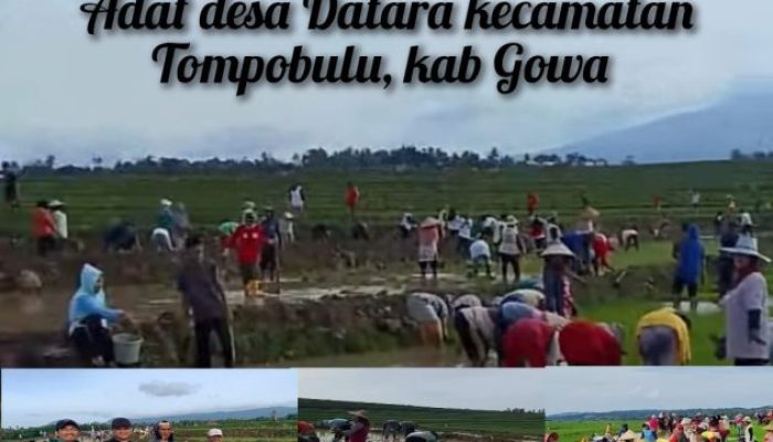 Gotong Royong Tanam Padi di Desa Datara, Wujud Dukungan Ketahanan Pangan Nasional