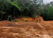 Aktivis Pengungkap Kasus Hutan Lindung Gowa Soroti Status Saksi dan Akses Informasi