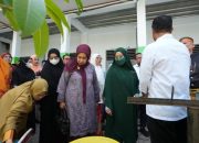 PKK Goes to School di SMA Negeri 1 Soppeng, Salurkan Bibit Tanaman Produktif