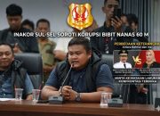 Bahtiar Sebut Bibit Nanas 60 M Dibahas DPRD, eks Pimpinan DPRD Andi Ina Kartika Terancam Pidana  ‎  ‎  ‎