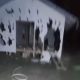 Diserang Saat Azan Maghrib, Pondok Warga Dibakar dan Musholla Dihancurkan di Lahan Eks HGU 366 Hektar