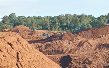 PT Surya Lintas Gemilang Dilaporkan ke Polda Sultra, Diduga Tetap Beroperasi Meski Disanksi