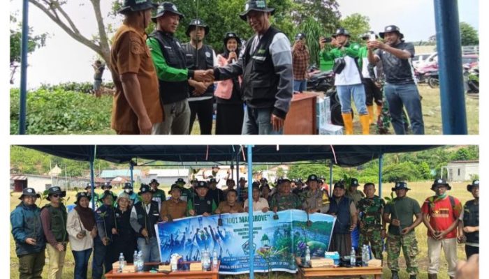 May Day Berbeda, Buruh SMIP Tanam Ribuan Mangrove di Lalampu