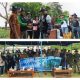 May Day Berbeda, Buruh SMIP Tanam Ribuan Mangrove di Lalampu