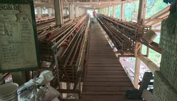 Diduga Rangkap Jabatan, Oknum Guru ASN SMP Negeri 1 Pecalungan Jadi Ketua BUMDes Langgeng Jaya, Pengawasan Dipertanyakan