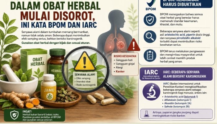 Risiko Senyawa Alami dalam Obat Herbal Mulai Disorot, Ini Kata BPOM dan IARC