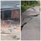 Gempa M6,7 Guncang Sulteng, Akses Jalan Menuju Napu Rusak Parah