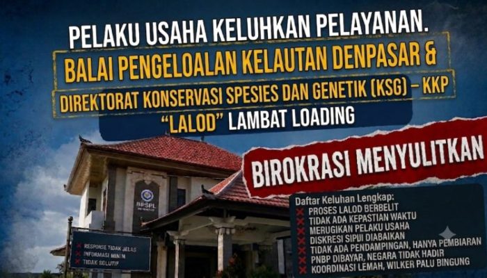 Balai Pengelolaan Kelautan Denpasar Kembali Menuai Sorotan Sejumlah Pelaku Usaha Perikanan