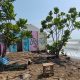 Dua Hektare Lahan Pantai Sigandu Batang Terendam Rob, Pemkab Siapkan Pembenahan