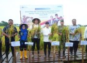 Ketua DPRD Maros Hadiri Panen Raya Bersama Menko Pangan di Turikale