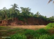 Moratorium Tambang Diabaikan: Galian C di Lahan Sawah Produktif Sukanagara Diduga Ilegal, Warga Desak Segera Disegel