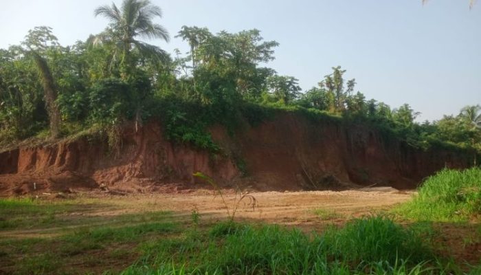 Moratorium Tambang Diabaikan: Galian C di Lahan Sawah Produktif Sukanagara Diduga Ilegal, Warga Desak Segera Disegel