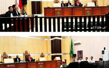 Sidang Praperadilan Djamaluddin, Ahli Kehutanan Dicecar soal APL dan Penerapan UU P3H