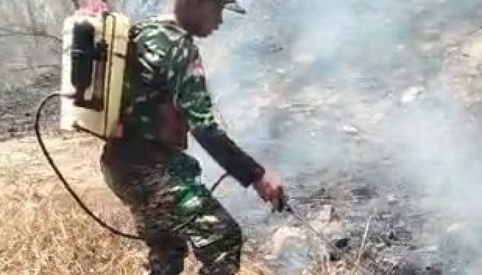 Gerak Cepat Tangani Karhutla, Babinsa Kodim 1409 Gowa Selamatkan Lahan Warga Sokkolia